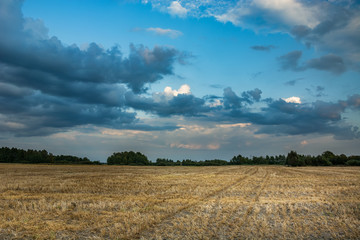 Fototapeta premium Beautiful and colorful clouds over the stubble