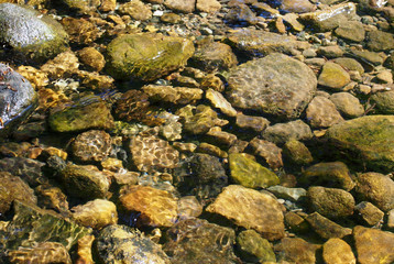 Fototapeta premium pebbles and rocks in a shallow stream with ripples reflecting sunlight in the water
