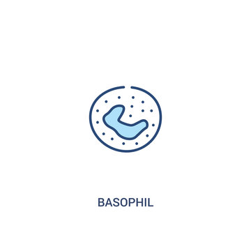 basophil concept 2 colored icon. simple line element illustration. outline blue basophil symbol. can be used for web and mobile ui/ux.