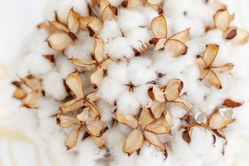 � bouquet of cotton
