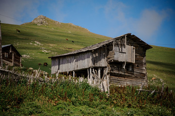 Fototapeta na wymiar Landscape of the wooden houses at the foot of the hill on the backgound of cows graze