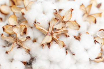 Boxes of cotton.