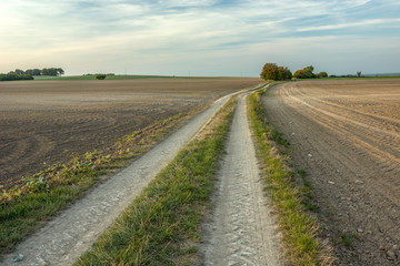 Fototapeta na wymiar Dirt road through the plowed fields