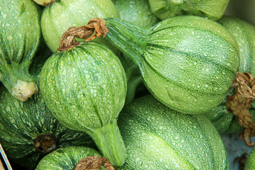 Fresh zucchini  at the market