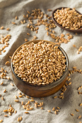 Raw Organic Farro Grain