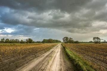 Sandy road through fields and dark clouds