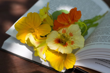 Open book with a bouquet of flowers on the table