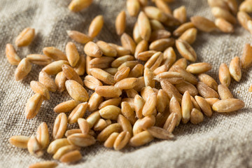 Raw Organic Farro Grain