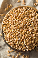 Raw Organic Farro Grain
