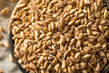 Raw Organic Farro Grain
