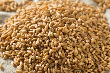 Raw Organic Farro Grain