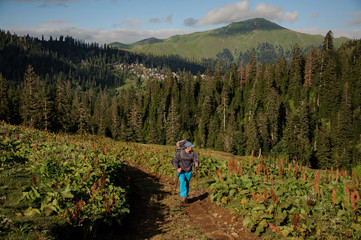 Man walking up the dirt road with hiking backpack and sticks in the background of tree covered hills