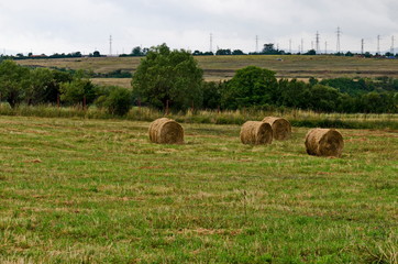 Straw field with round dry hay bales in front of mountain range near town Dupnitsa, Bulgaria
