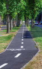 Fototapeta na wymiar Bicycle lane under the trees on city street.