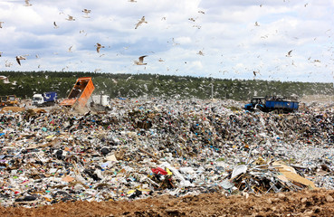 Concept of environmental pollution.