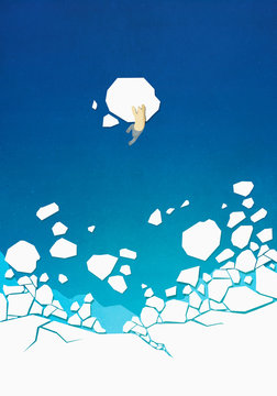 View from above polar bear climbing on floating ice in ocean