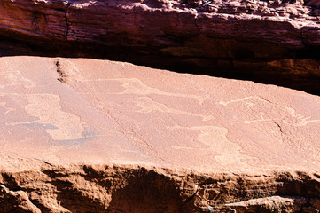 6000 year old rock carvings of animals at Twyfelfontein, Namibia