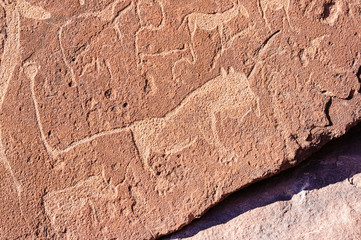 6000 year old rock carvings of animals at Twyfelfontein, Namibia