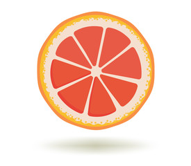 Citrus fruit.Vitamin C.Vector illustration of bright fresh ripe juicy grapefruit slice with a shadow isolated on a white background. Template for animation design, icon, logo, poster, advertising