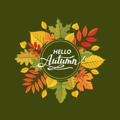 hello autumn lettering pattern with woody leaves isolated on dark background © Alexkava