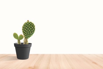 Beautiful cactus isolated on white background.  On the wood table colorful ceramic pot.