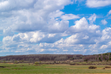 Fototapeta na wymiar Massive white cumulus clouds in the blue sky over the forest