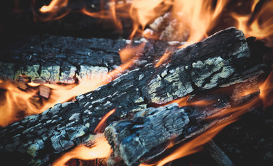 Fascinating bonfire, with glowing wood and wriggling flames. The texture of the burning tree