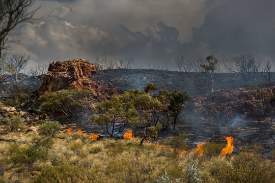 Wildfire burning, East McDonnell Ranges, Alice Springs, Northern Territory, Australia