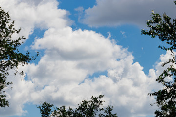 Obraz premium Blue sky with clouds and trees