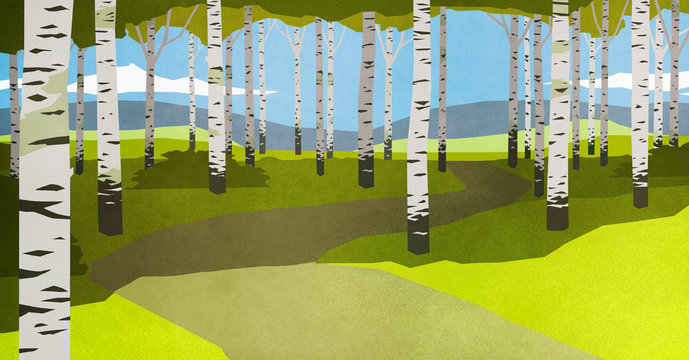 Footpath through trees in idyllic forest