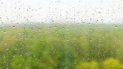 rain drops on window glass and blurred forest