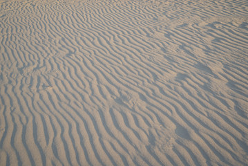 Ripples and waves in sand on a beach. Effect by the wind.