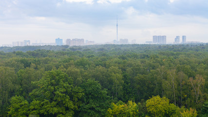 forest and city on horizon on rainy day