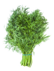 big bunch of natural green dill herb isolated