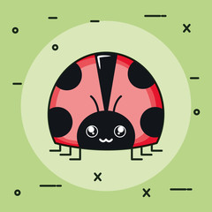 Fototapeta premium cute ladybug insect kawaii character