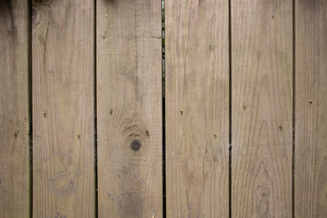 Naklejka premium Weathered Pine wood fence texture with cobwebs and mud