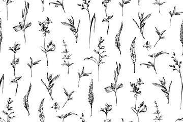 Wild herbs hand drawn seamless pattern. Wildflower plants painted by ink outline. Vector modern hand drawn botanical endless background