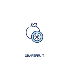 grapefruit concept 2 colored icon. simple line element illustration. outline blue grapefruit symbol. can be used for web and mobile ui/ux.