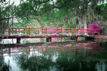 Red bridge with blooming flowers over still water in  Charleston, South Carolina, USA