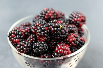 Organic blackberry located in a transparent bowl on a gray background, horizontal orientation