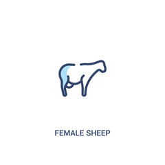 female sheep concept 2 colored icon. simple line element illustration. outline blue female sheep symbol. can be used for web and mobile ui/ux.