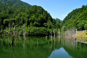 Fototapeta na wymiar 自然湖