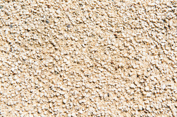 Grainy texture of decorative plaster. Tiny grains little stones in cement or concrete. Vintage decorations. Grainy wall of old building. Grainy surface on sunny day. Architecture facade design