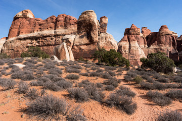 Pinnacles rise above the desert landscape within the Needles District of Canyonlands National Park, Utah.