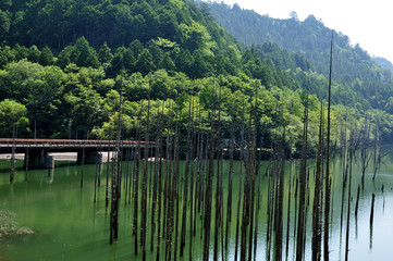 Fototapeta premium 自然湖