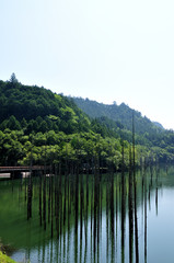 Fototapeta premium 自然湖