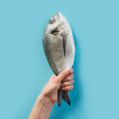 Female hand with dorado fish tail on blue paper as color of sea.