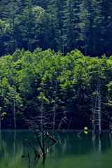 Obraz premium 大滝村自然湖