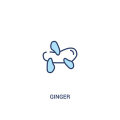 Fototapeta na wymiar ginger concept 2 colored icon. simple line element illustration. outline blue ginger symbol. can be used for web and mobile ui/ux.