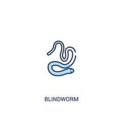 Naklejka na ściany i meble blindworm concept 2 colored icon. simple line element illustration. outline blue blindworm symbol. can be used for web and mobile ui/ux.